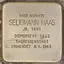 Stolperstein voor Seligmann Haas
