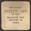 Anneliese Hahn