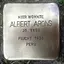 Albert Arons