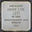 Hanny Lore Levi