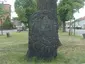 Gedenkstein zum 100. Jahrestag der Völkerschlacht bei Leipzig Dorfstraße 35 (vor)