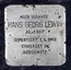 Hans Georg Lewin