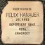 Felix Hanauer