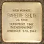 Babette Selig