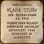 Chaja (Klara, Glaya) Sturm geb. Schwarzmann
