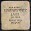 Siegfried Lamm Siegfried Lamm