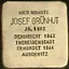 Josef Grünhut Josef Grünhut