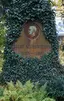 Georg Schweinfurth