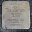 Alice Gollowitsch, geb Mayer Alice Gollowitsch, geb Mayer