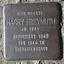 Harry Freymuth