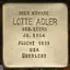 Lotte Adler