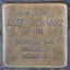 Joseph Schwarz Joseph Schwarz