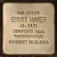 Ernst Mayer Ernst Mayer