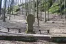 Cranach-Denkmal
