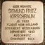Sigmund Fritz Kirschbaum