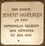 Sigmund Hamburger