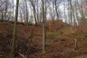 Burg Helfenberg