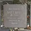 Sally Hahn Sally Hahn