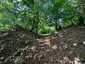 Burgwall Zislow