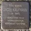 Jacob Kaufmann
