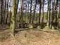 Riesenbett Dassendorf 2