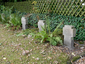 Alter Friedhof