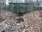 Brücke über den Eisenbornbach Dresdner Heide