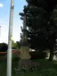 Wayside cross in crossing B. Němcové and Branky