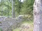Zřícenina hradu Weissenstein (Pustý hrad)