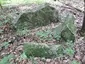 Großsteingrab Stuer 7