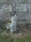 Schwedenkreuz