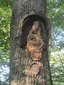 Steinbach-Madonna