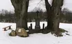 Cestovní kříž Horní Fukov Cestovní kříž Horní Fukov