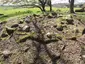 Großsteingrab Liepen 6