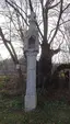 Lichtsäule