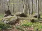 Großsteingrab Vogelsang