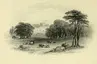 Kilronan Castle