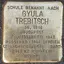 Gyula Trebitsch
