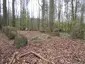 Großsteingrab Mankmoos 1