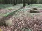 Großsteingrab Rothenmoor 2