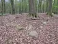 Großsteingrab Rothenmoor 1