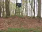 Großsteingrab Rothenmoor 3