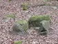 Steinkiste Hohes Holz