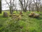 Großsteingrab Basedow 2