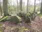 Großsteingrab Forst Tarnow 1