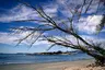 Praia do Santo