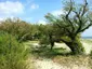 Plage du Betey