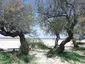 Plage de la Hume