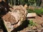 Bunker 147 Michelbach