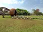 Espheropeia Espheropeia